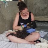 Registered Veterinary Assistant for hire