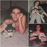 Will Provide Variety Of Care For Your Pet Needs