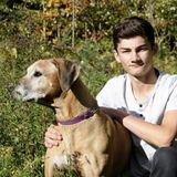 Kitchener Pet Sitter/walker, looking for part time or one-off jobs