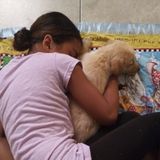 Interested In Cleburne Overnight Sitter, Texas Jobs
