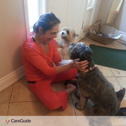 Pet Care Provider Brigitte T's Profile Picture