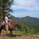 Farm Sitter in Stow-most animals cared for well.