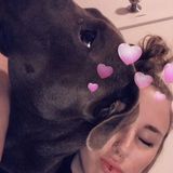 Hardworking Petsitter for Hire