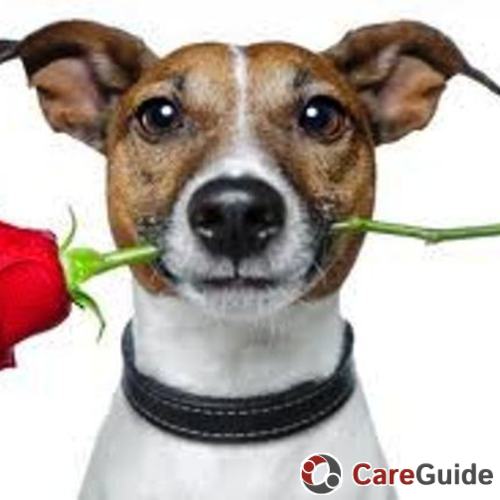 Pet Care Provider Cindy B's Profile Picture