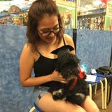 Animal Lover