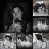 Baxters Photography / customized around "you"