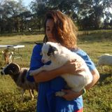 Children Sitter and Animal Sitter
