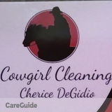 Cowgirl Cleaning