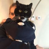 Dedicated animal lover looking to help fellow animal lovers and their pets!