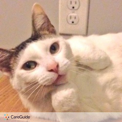 Pet Care Job Tanwaporn Ohl's Profile Picture