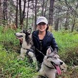 Hard Working Pet Sitter for Hire. I can walk, feed, train and accompany your pets when youre not around.