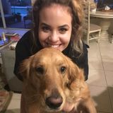 Looking to offer animal care!