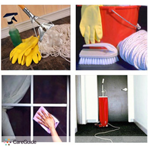 Housekeeper Provider Iracilda C's Profile Picture