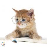 After school subject tutoring and ESL lessons offered