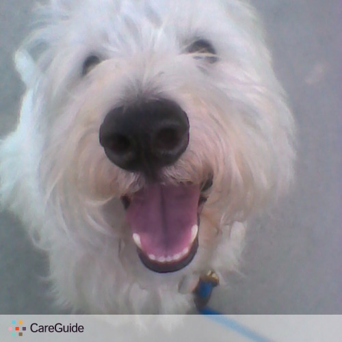 Pet Care Provider Janet F's Profile Picture
