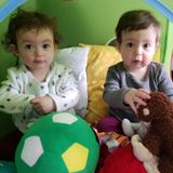 Seeking part-time mothers helper for 1 year old twins