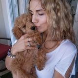 Dog Walking or Pet sitting (bilingual FR/EN)