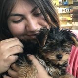 I'll take good care of your pets!