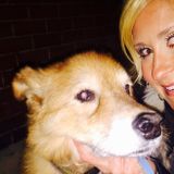 Experienced, reliable, and loving dog care