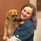 Surrey or Delta Babysitter, I am available to work anytime, even on short notice. Also pets are no problem