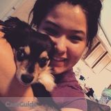 Experienced Pet Care Provider/ Light Groomer/ Kennel Tech
