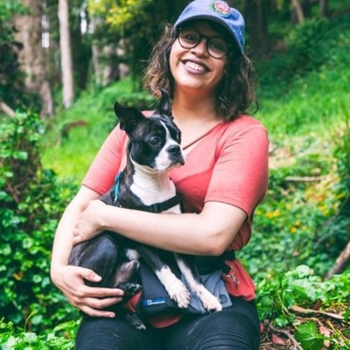 Pet Care Provider Priscilla C's Profile Picture