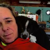 Great Pet Sitting Professional for Hire