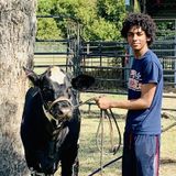 Lover of all animals, especially birds!
