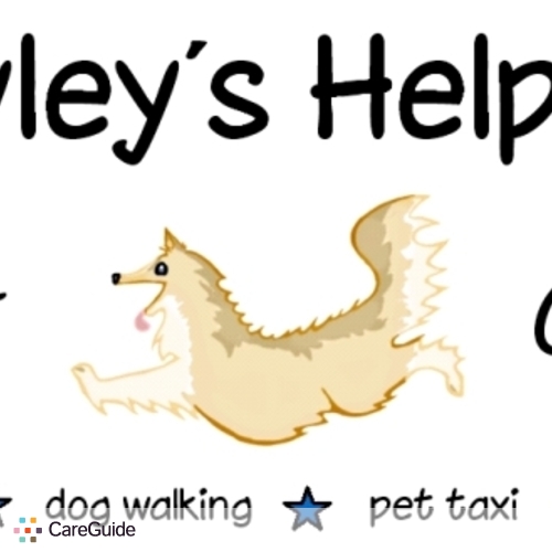 Pet Care Provider Steven Bell's Profile Picture