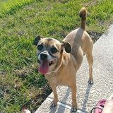 For Hire: Enthusiastic Animal Caregiver in Sherman