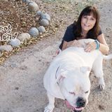 Hard worker petsitter