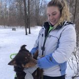 Custom pet care services! Dogs,horses, cats and more!