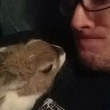 Available:Caring and Reliable Animal Lover Seeking to Help Watch Over Your Loved Ones