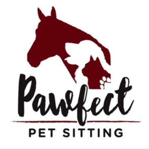 Pet Care Provider Christine C's Profile Picture