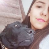 For Hire: Caring Petsitter in Cochrane and near areas