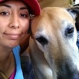 Present Pet Care Provider in Turlock