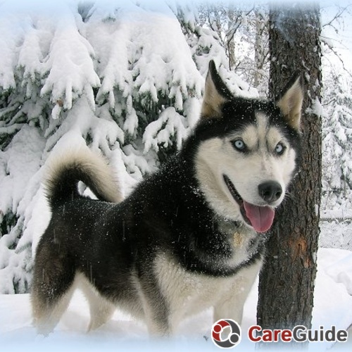 Pet Care Provider jasmine coleman's Profile Picture