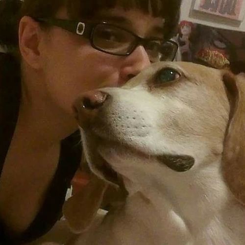 Pet Care Provider Angelica S's Profile Picture
