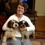 Boarding needed for two dogs