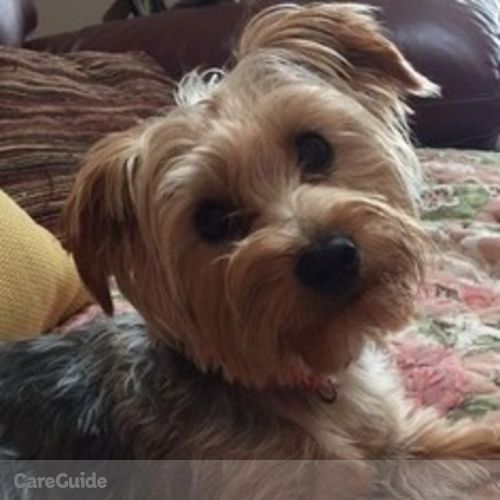 Pet Care Job Christine D's Profile Picture