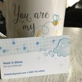 Very energetic! Wonderful Home Cleaner for Hire