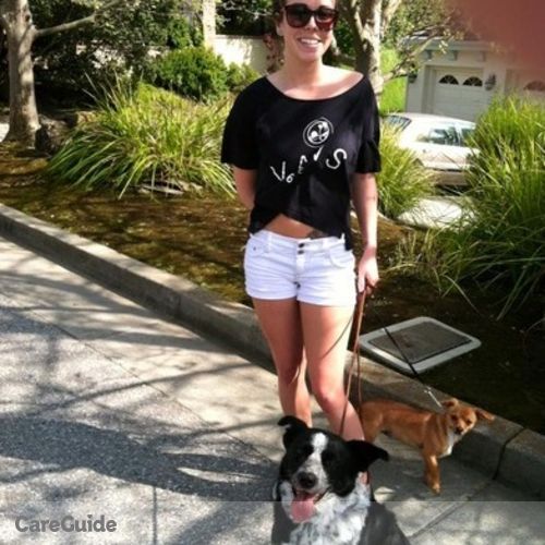 Pet Care Provider Jenny V's Profile Picture