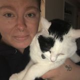 Kittery, Maine Petsitter
