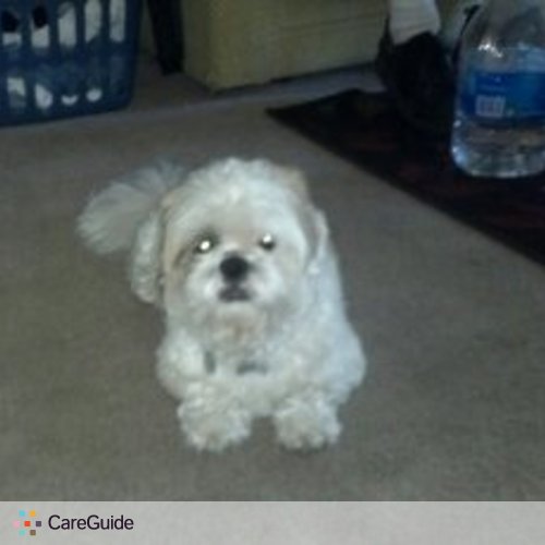 Pet Care Job Terrie I's Profile Picture