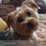 Dog walker