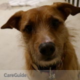 Looking for help with our fur child!