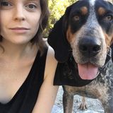 Check-ins/Visits Overnights Vacations: Trust Your Pet WIll Be Cared For & Loved!