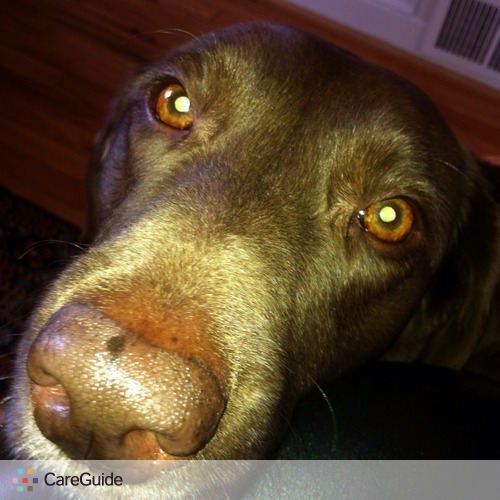 Pet Care Job Dog Gone Tired L's Profile Picture