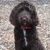 Warm and Friendly Home Needs a Fantastic Nanny
