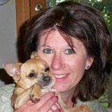 Experienced pet sitter.